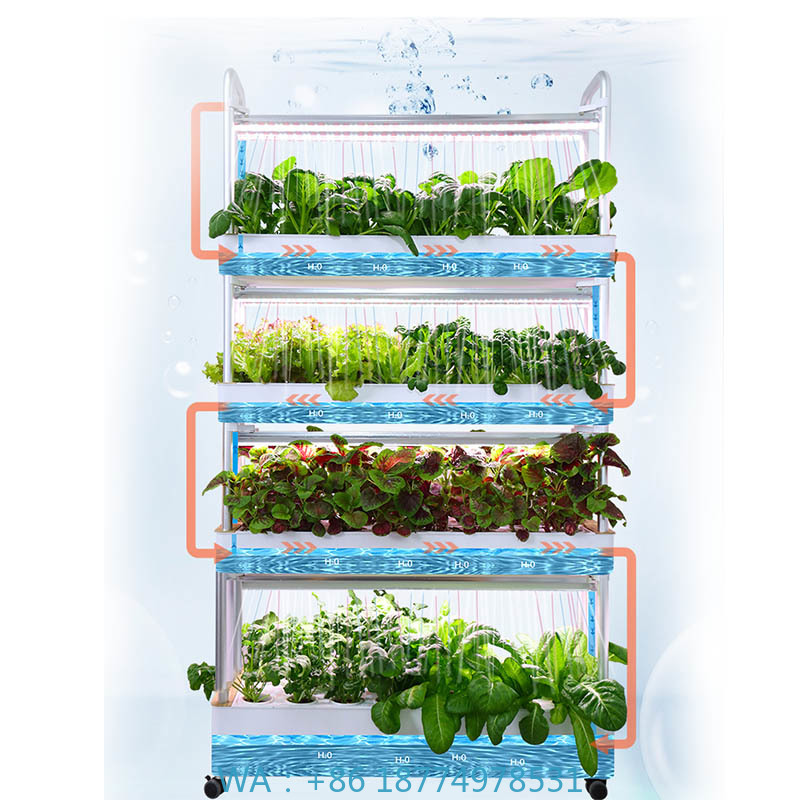 Diy Automation - Sistema de plantio ydroponic Sistema de